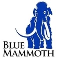 Blue Mammoth Games coupons